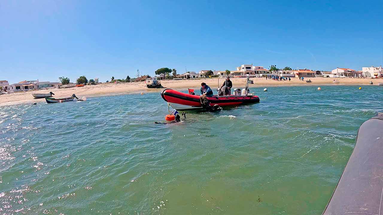 Mais de 220 kg de resíduos foram retirados da Ilha da Armona na Operação Praia Limpa 2025, ação de limpeza costeira e subaquática organizada pelo Zoomarine.
