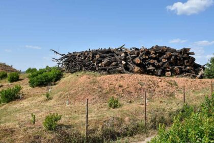 A gestão de faixas de combustível em terrenos florestais visa prevenir fogos rurais, mas a Federação Nacional de Associações de Proprietários Florestais (FNAPF) vai pedir ao governo o prolongamento de «mês e meio» no prazo, devido às condições meteorológicas.