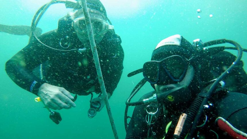 O mar guarda muito mais do que se vê à superfície - e talvez esteja na hora de olharmos mais fundo para descobrirmos, juntos, um outro Algarve.