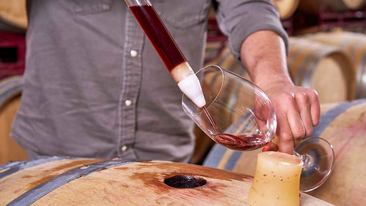 A marca de vinhos Dito Cujo foca-se em produzir «sabores que ficam na memória» e refletem o que a região tem de melhor.