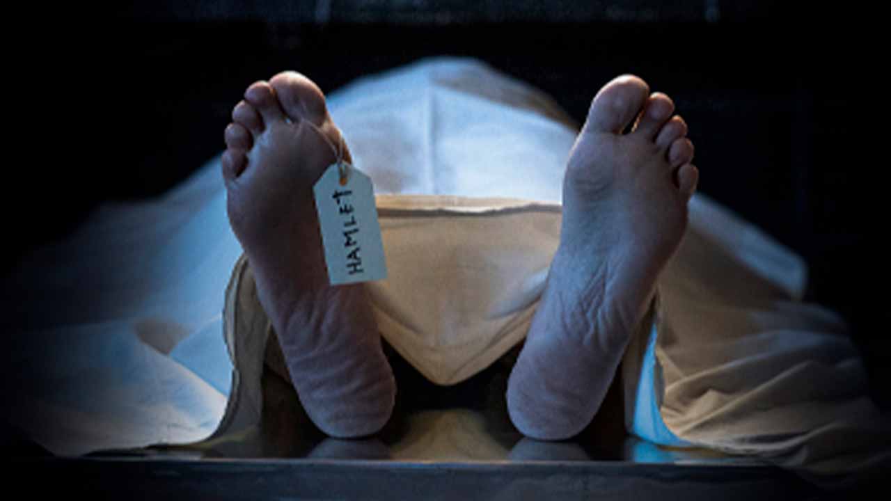 Uma peça de teatro comestível, o aclamado Hamlet, uma comédia poética e o início das comemorações do 20.º aniversário do Teatro das Figuras marcam o mês de junho no equipamento cultural de Faro.