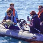Vénus, uma tartaruga-comum da espécie caretta caretta, foi devolvida ao oceano, a 12 milhas náuticas da costa, após meses de reabilitação no Porto d’Abrigo do Zoomarine.