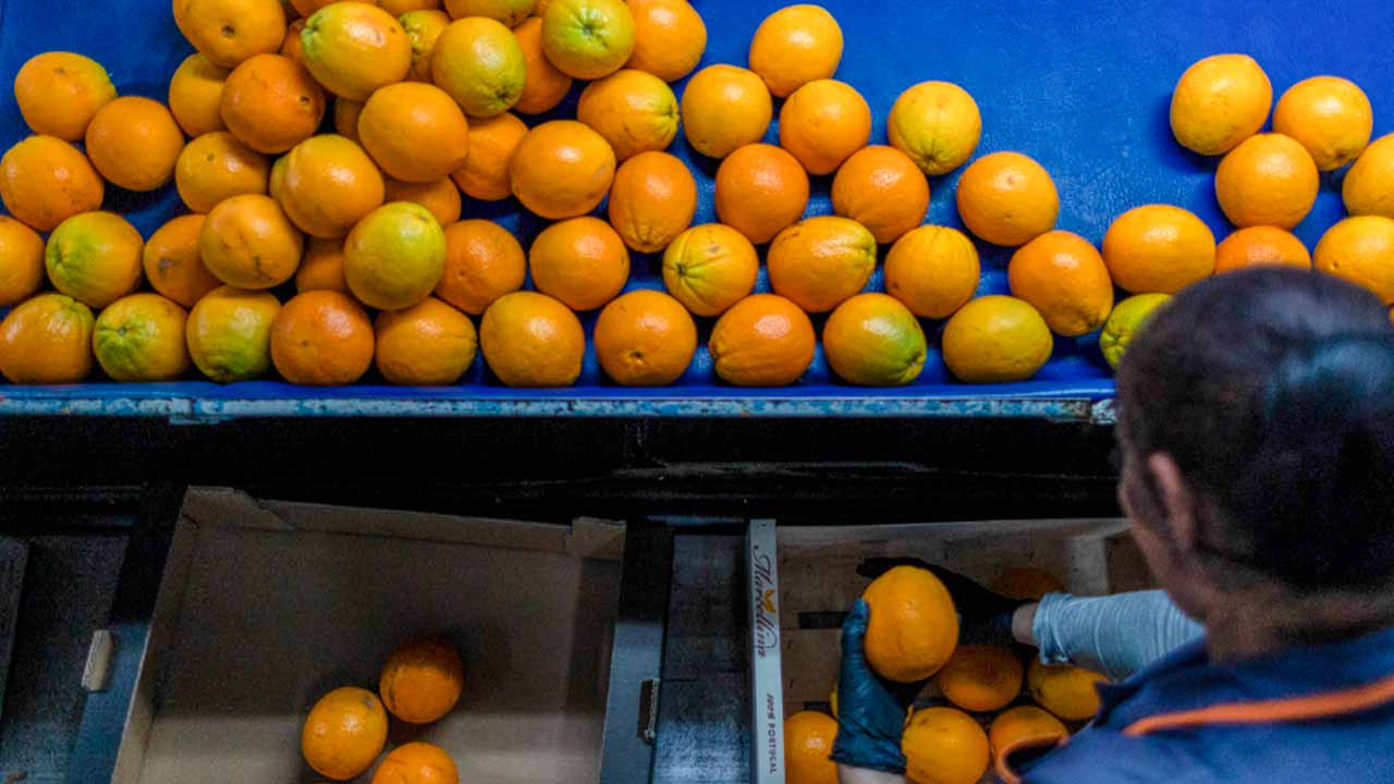 A CACIAL está a preparar um documentário para dar a conhecer a sua história, através de testemunhos reais, no âmbito do seu 60.º aniversário.