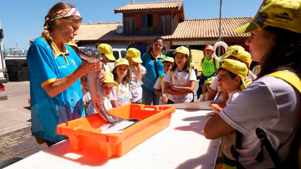 As Férias de Verão no concelho de Portimão foram pensadas para crianças e jovens, entre os dias 30 de junho e 14 de agosto, com mais de 2.500 vagas.
