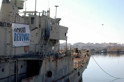 A Câmara Municipal de Portimão está a constituir uma equipa de trabalho para a salvaguarda do Ocean Revial. Parceria com a Portisub para a gestão do parque é uma das hipóteses em cima da mesa.