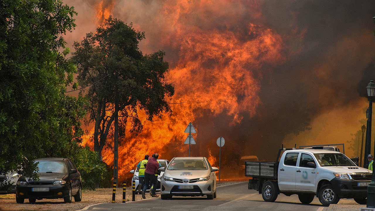 Portimão, Monchique, Silves, Loulé, Tavira e São Brás de Alportel (Faro) estão hoje em perigo máximo de incêndio, segundo o IPMA.