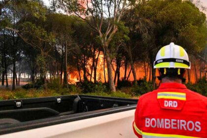 Segundo o IPMA, de acordo com as temperaturas máximas esperadas hoje, há 30 concelhos de seis distritos em perigo máximo de incêndio, no qual se inclui Faro.