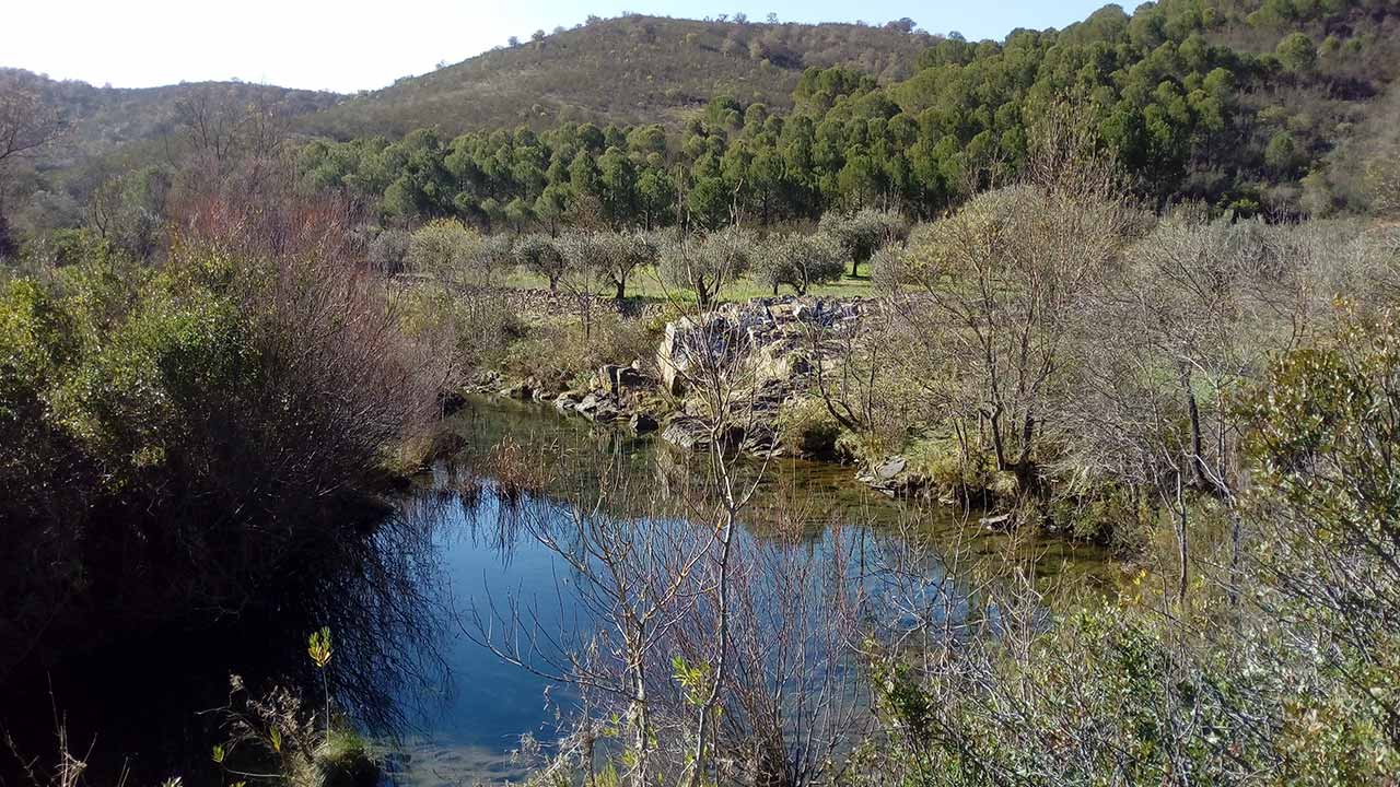 O Plantar Água está de volta para reforçar o ciclo da água na região por mais dois anos, não só dando continuidade ao restauro ecológico na Serra do Caldeirão, mas também contribuindo para a recarga dos aquíferos e para a redução do consumo de água no litoral.