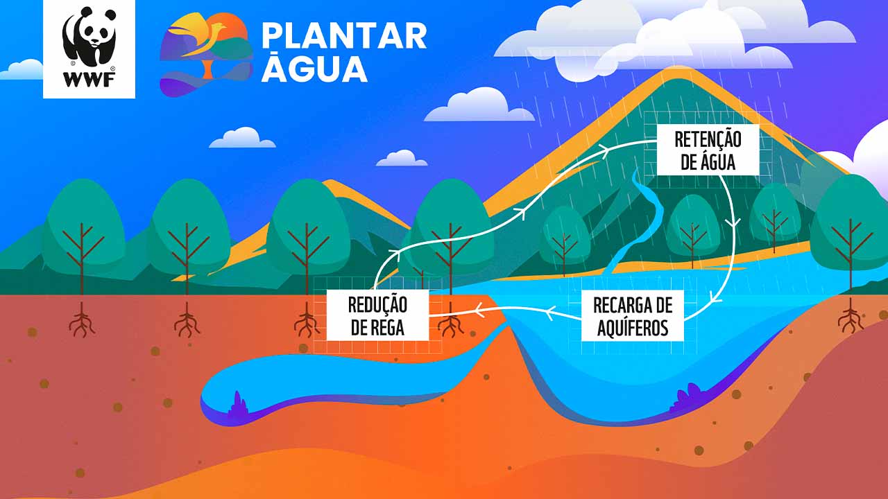 O Plantar Água está de volta para reforçar o ciclo da água na região por mais dois anos, não só dando continuidade ao restauro ecológico na Serra do Caldeirão, mas também contribuindo para a recarga dos aquíferos e para a redução do consumo de água no litoral.