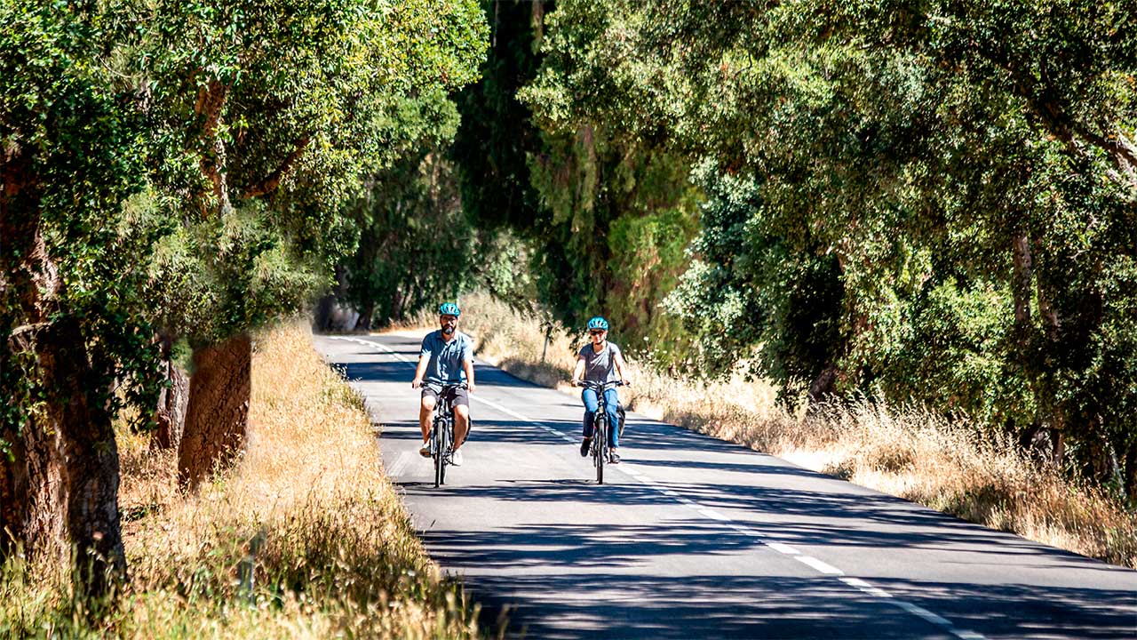 A Rota Vicentina vai marcar presença na edição de 2025 da FEI-TUR, a Feira de Turismo do Sudoeste, entre 12 e 15 de junho, em Vila Nova de Milfontes, com destaque para os trilhos cicláveis.