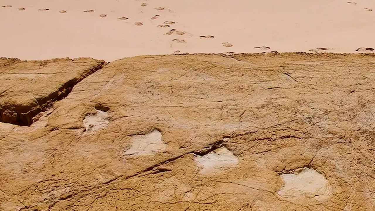 Composta por dois percursos circulares pedestres com o objetivo de promover o turismo de natureza e o património local, a Rota das 5 Aldeias de Budens já foi inaugurada.