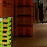 TROPS investe nove milhões em centro de produção de abacates em Tavira. Portugal representa 40% da produção ibérica da empresa.