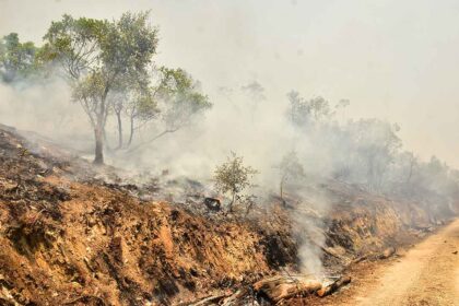 Quase todos os concelhos no interior norte e centro e sete concelhos no distrito de Faro estão hoje em perigo máximo de incêndio rural, dados do Instituto Português do Mar e da Atmosfera (IPMA).