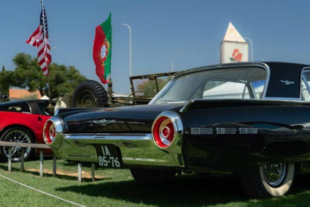 A 12.ª edição do Americancars Algarve, o Encontro de Carros Americanos, regressa a Faro com música, cultura e diversão para toda a família.