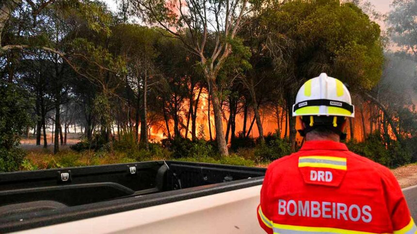 Os concelhos de Loulé, São Brás de Alportel e Tavira estão hoje em perigo máximo de incêndio rural, segundo o IPMA, que prevê um agravamento deste risco nos próximos dias.
