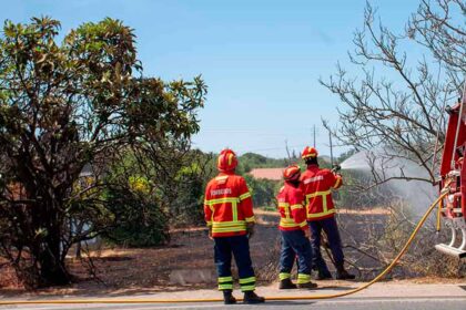 Devido ao risco de incêndio rural, que se prevê que aumente nos próximos dias, a Proteção Civil alerta para o facto de ser proibido fazer queimadas e usar motorroçadoras.