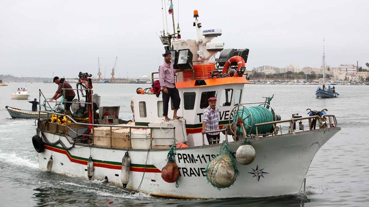 Este ano, a recriação da descarga da sardinha no Museu de Portimão, que reúne 70 figurantes, apresenta uma novidade: o alar da rede, no dia 5 de agosto.