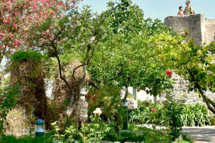A próxima edição do programa «Um Passeio nos Jardins Históricos de Tavira» vai dar a conhecer os jardins de São Francisco, Castelo, da Alagoa e do Coreto.