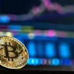 A criação do Instituto Português de Bitcoin (IPB) foi confirmada em julho de 2025 por Henrique Corrêa da Silva, presidente do Instituto New Economy, que defende colocar o país na linha da frente da inovação monetária e tecnológica ligada ao BTC.
