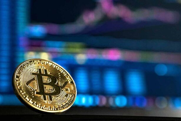A criação do Instituto Português de Bitcoin (IPB) foi confirmada em julho de 2025 por Henrique Corrêa da Silva, presidente do Instituto New Economy, que defende colocar o país na linha da frente da inovação monetária e tecnológica ligada ao BTC.
