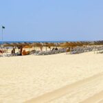 As autoridades decretaram hoje a interdição a banhos na Praia da Alagoa – Altura e na Praia Verde, no concelho de Castro Marim, devido a contaminação microbiológica, informou o município.