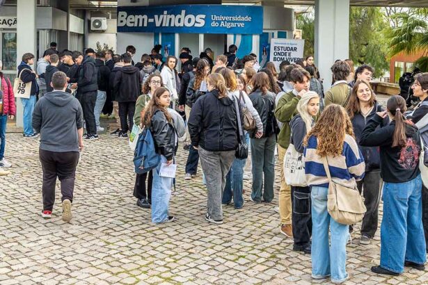 Programa Regional ALGARVE 2030 apoia 24 agrupamentos e escolas com 60 operações que visam o sucesso escolar, até 2027, através do FSE+.