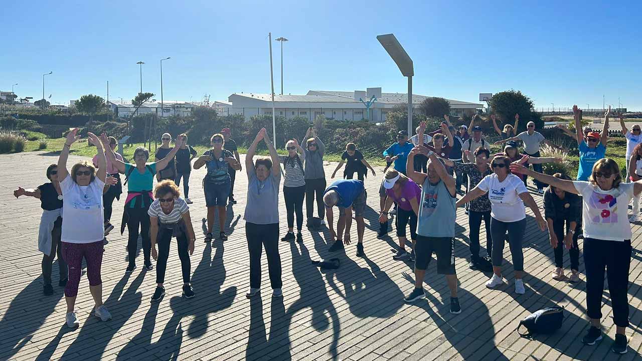 Depois da interrupção de verão, o Clube Avô, em Albufeira, prepara-se para retomar a atividade com o arranque de mais um novo ano letivo.