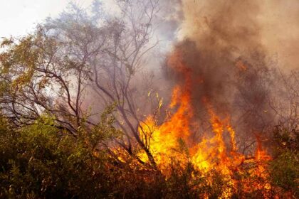 A Proteção Civil emitiu hoje um aviso para o risco de incêndio rural muito elevado a máximo no Norte e centro do país, bem como no Algarve, face às previsões de elevadas temperaturas nos próximos dias.