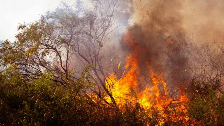 A Proteção Civil emitiu hoje um aviso para o risco de incêndio rural muito elevado a máximo no Norte e centro do país, bem como no Algarve, face às previsões de elevadas temperaturas nos próximos dias.