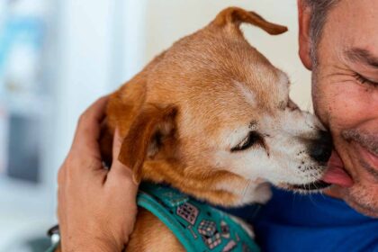 O Dia Internacional do Animal vai ser assinalado em Quarteira, em parceria com o Animal Rescue Algarve, num programa para toda a família.