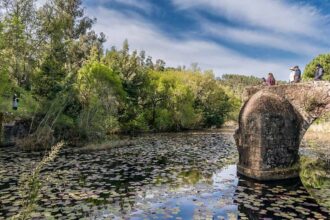 O especialista em gestão da água Afonso do Ó alertou hoje para a necessidade de refrear a procura de água, que não pode crescer infinitamente, e considerou que «mais regadio é andar ao contrário».