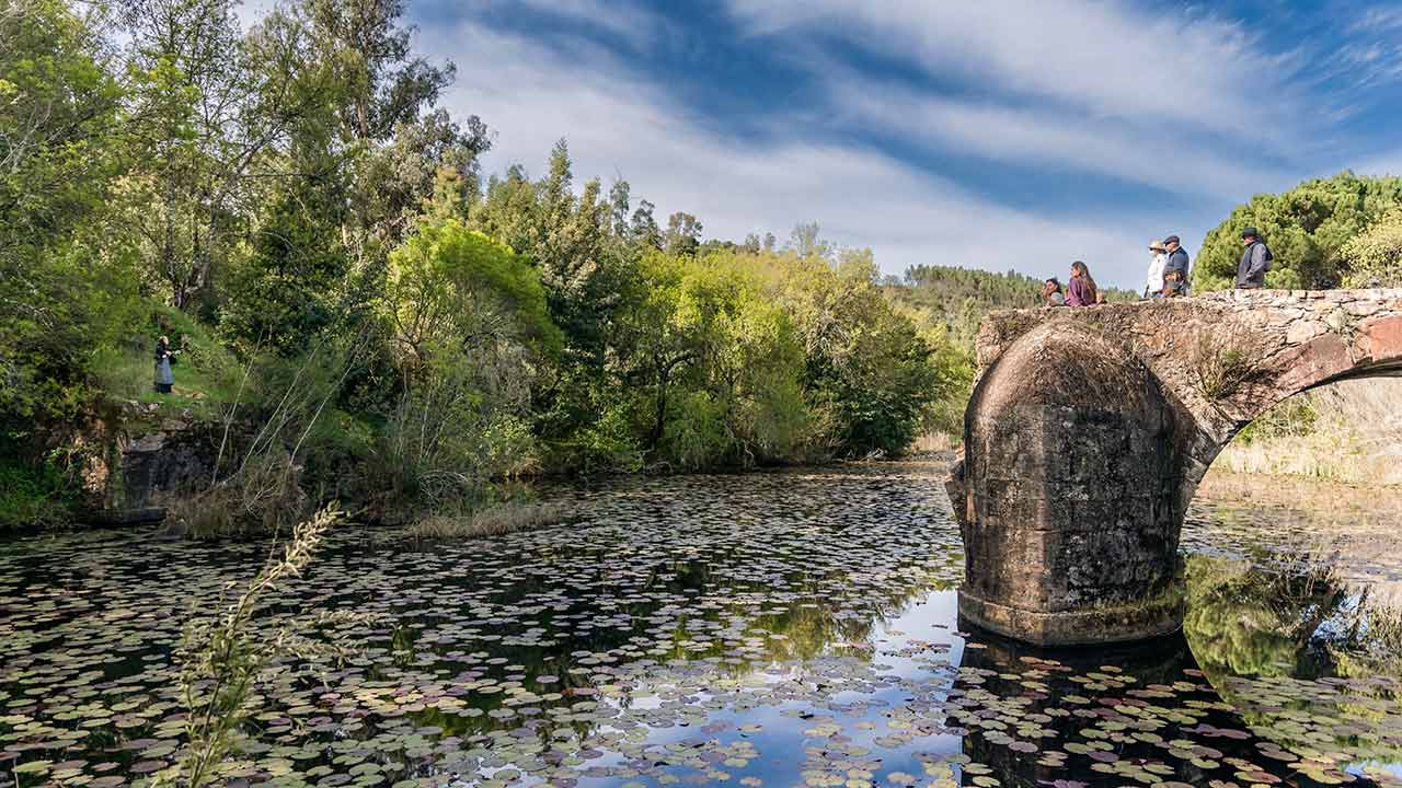 O especialista em gestão da água Afonso do Ó alertou hoje para a necessidade de refrear a procura de água, que não pode crescer infinitamente, e considerou que «mais regadio é andar ao contrário».