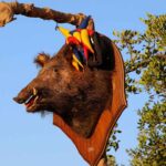 Os Dias Medievais em Castro Marim regressaram à vila raiana com a sua 26.ª edição, a maior de sempre, entre os dias 27 e 31 de agosto.