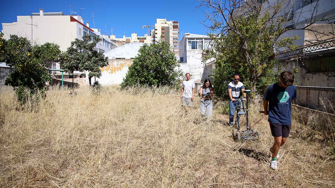 Uma equipa das universidades do Algarve e de Marburgo (Alemanha) confirmou, com recurso a georradar, a localização do templo do fórum romano de Ossonoba junto à Sé de Faro.