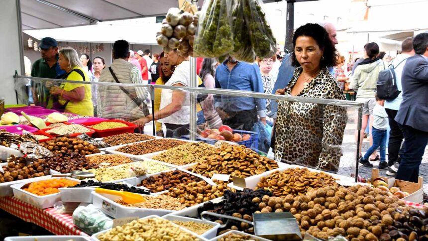 O município de Vila Real de Santo António espera receber milhares de visitantes na Feira da Praia, ao longo de oito dias, na Avenida da República.