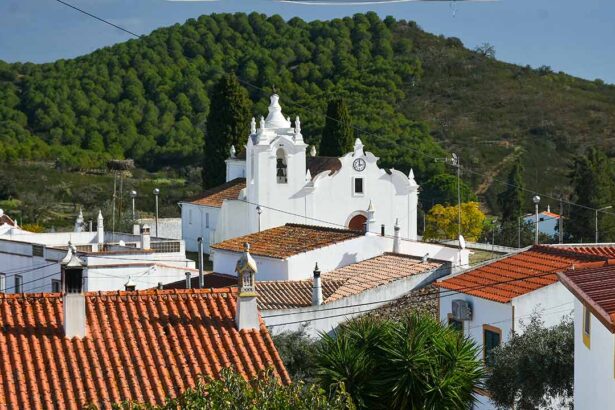 APR alerta que agravar IMT para não residentes em resorts e territórios de baixa densidade pode afastar investimento e receita fiscal.