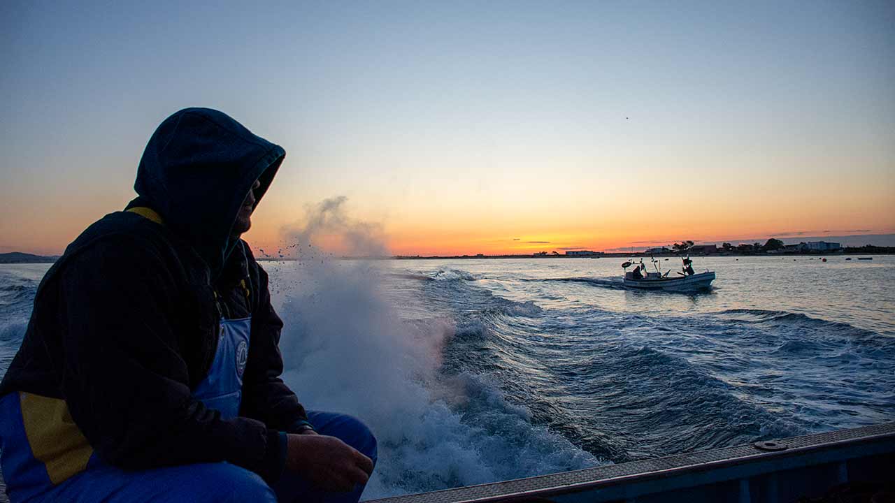 Oceano aquece a ritmo recorde e nível do mar sobe 40,8 mm por década, alerta o nono relatório do programa europeu Copernicus.