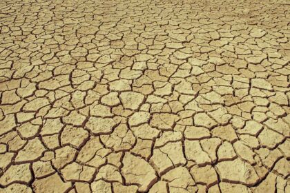 As alterações climáticas provocadas pela atividade humana aumentaram em 40 vezes o risco de ondas de calor como a que alimentou incêndios florestais mortais em Portugal e Espanha, em agosto, segundo um estudo divulgado hoje.