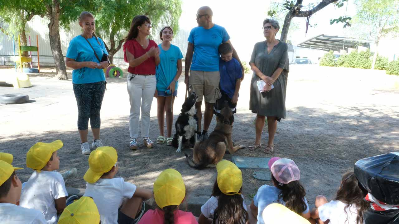 Os programas das Férias de Verão em São Brás de Alportel, este ano, foram alargados a mais crianças, devido à elevada procura e aumento demográfico.
