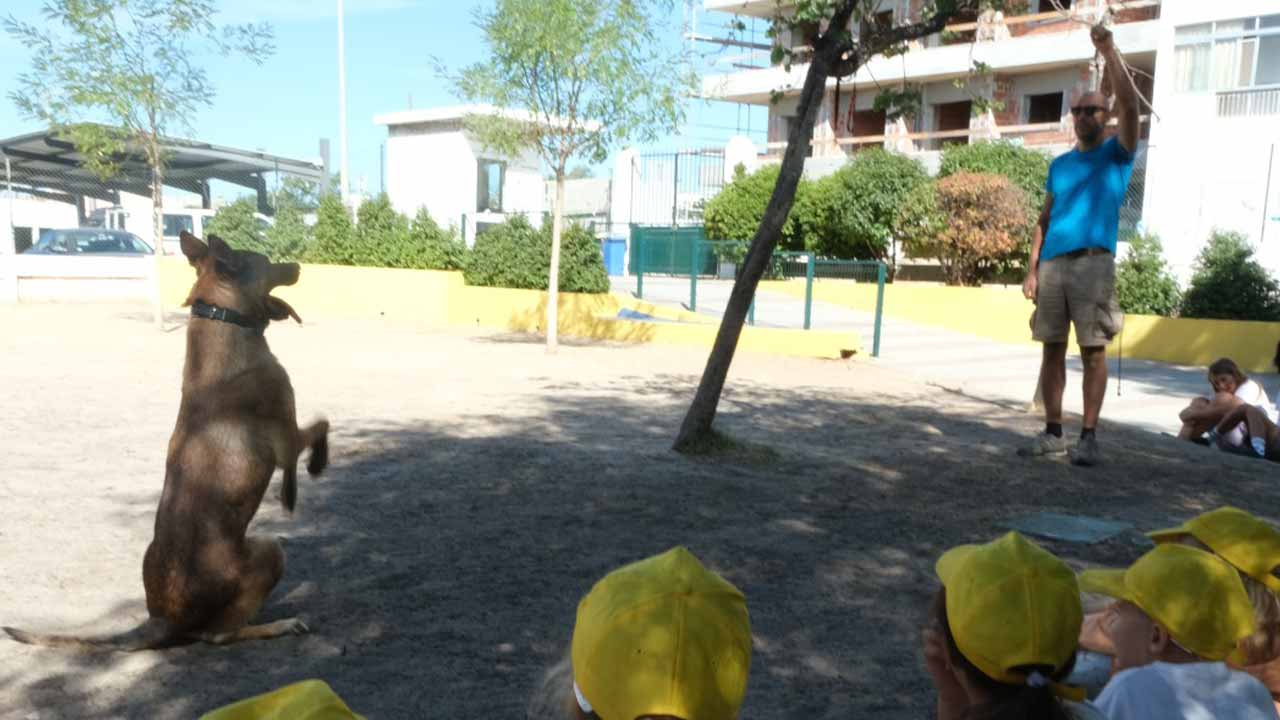 Os programas das Férias de Verão em São Brás de Alportel, este ano, foram alargados a mais crianças, devido à elevada procura e aumento demográfico.