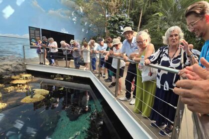Os seniores de São Brás de Alportel viveram um verão com diversas atividades, onde conheceram o Museu do Ar e o Oceanário de Lisboa.