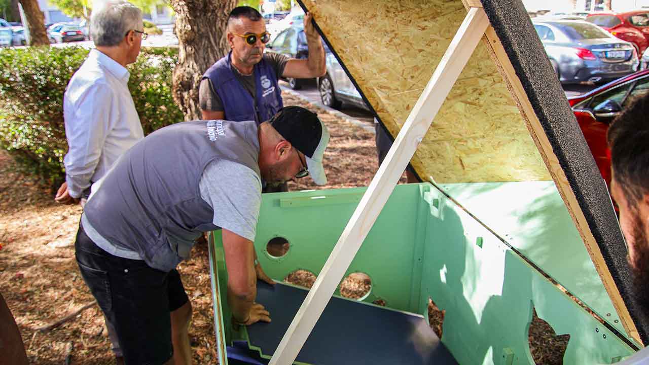 Autarquia de VRSA já instalou abrigos para gatos errantes em todas as freguesias no âmbito da nova estratégia municipal de bem-estar animal.