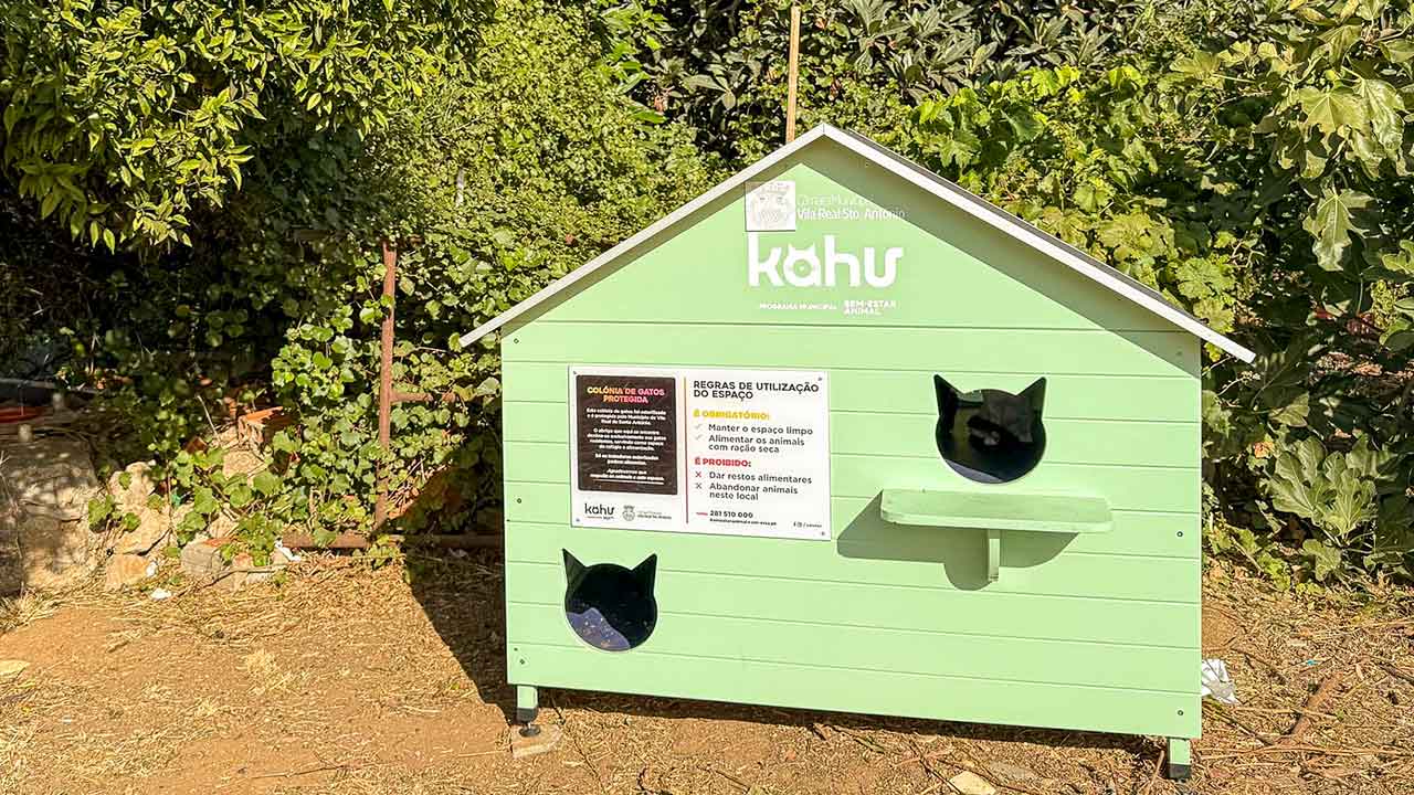 Autarquia de VRSA já instalou abrigos para gatos errantes em todas as freguesias no âmbito da nova estratégia municipal de bem-estar animal.