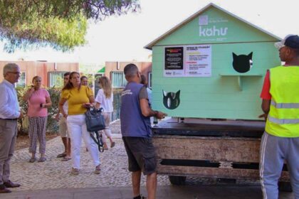 Autarquia de VRSA já instalou abrigos para gatos errantes em todas as freguesias no âmbito da nova estratégia municipal de bem-estar animal.