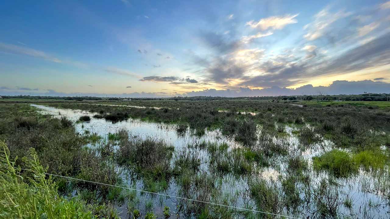 Alagoas Brancas permanecem sem medidas de proteção, alerta hoje o movimento ambientalista, que acusa a Câmara de Lagoa de incumprir o protocolo do Fundo Ambiental.