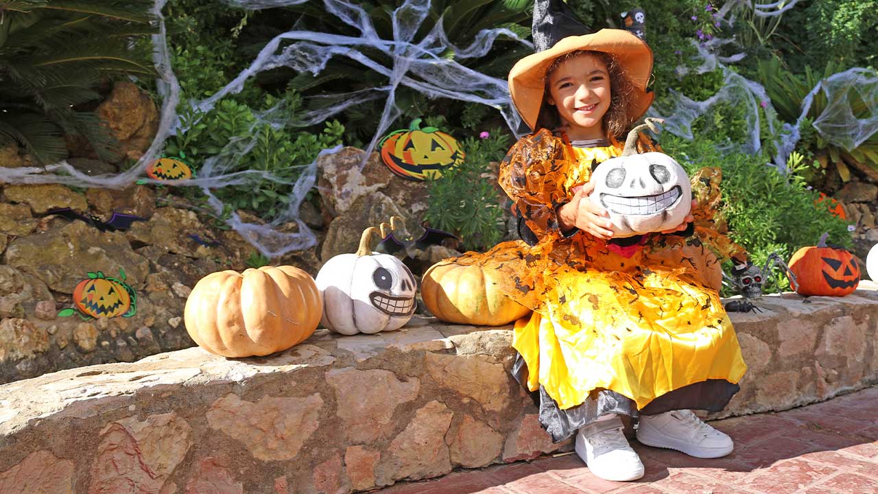Pinturas faciais, labirintos temáticos e um concurso de máscaras infantil fazem parte da programação especial do Zoomarine para este Halloween.