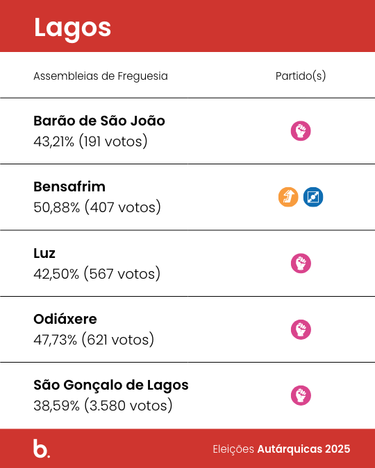 Hugo Pereira, candidato do Partido Socialista (PS), foi reeleito presidente da Câmara Municipal de Lagos com 42,00% dos votos, correspondentes a 5.522 votos e quatro mandatos.