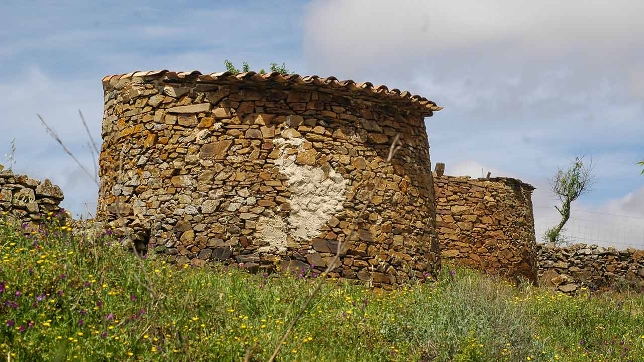 Serra do Caldeirão será uma das três áreas-piloto de intervenção da WWF Portugal, que investe 1,8 milhões de euros até 2030 para restaurar ecossistemas.