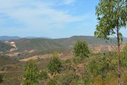 O município de Silves disponibiliza para consulta de todos os cidadãos a sua nova Cartografia de Perigosidade de Incêndio, produzida pelo ICNF.