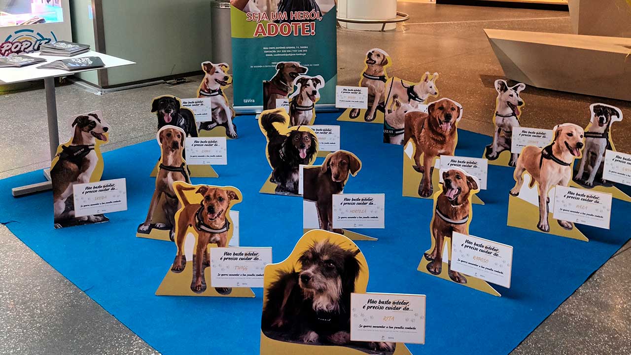 Tavira está a assinalar o Dia Mundial do Animal com uma campanha no centro comercial Gran Plaza, sendo que os alunos estão a levar a cabo uma campanha de angariação de alimentos.